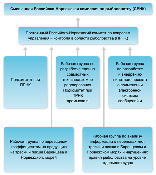 Структура СРНК